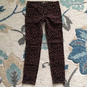 Ann Taylor loft leopard pants 26